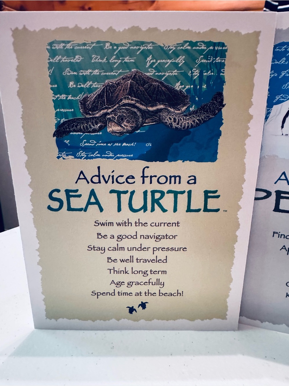 Advice from a Polar Bear,Penguin,Glacier& Sea Turtle Art Print Greeting Card Set - Picture 2 of 13